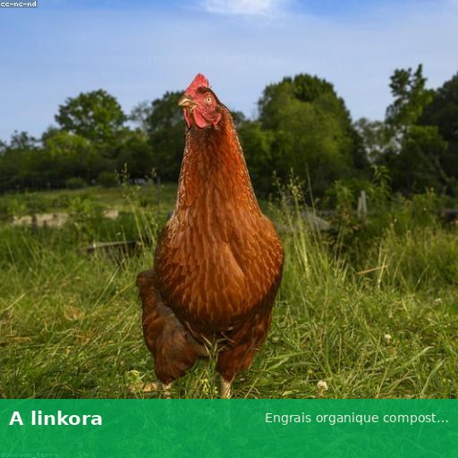 Engrais organique compost 25kg du Bénin