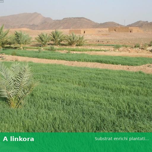 Substrat enrichi plantation du Bénin
