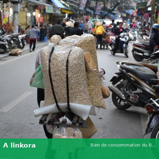 Bien de consommation du Bénin